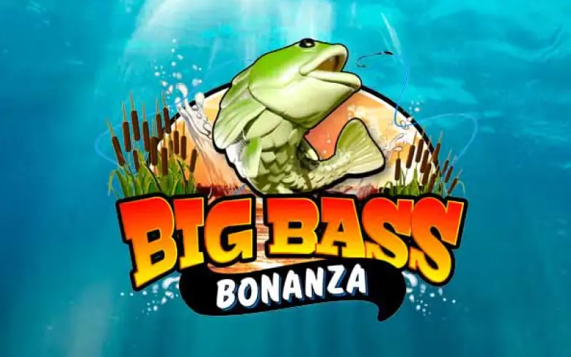 Conseguí grandes capturas en la tragamonedas Big Bass Bonanza en Betbox.