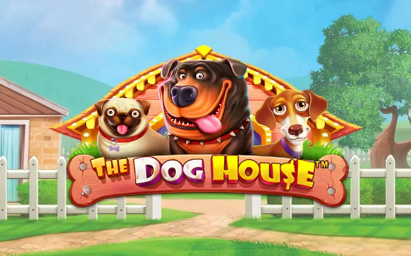 Activá los giros gratis en la tragamonedas Dog House Megaways en Betbox.